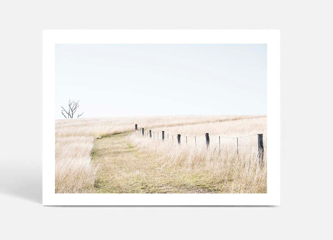 Pop's Paddock - Country NSW