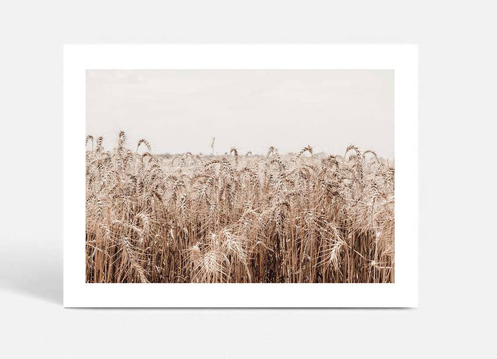 Wheat Farm III