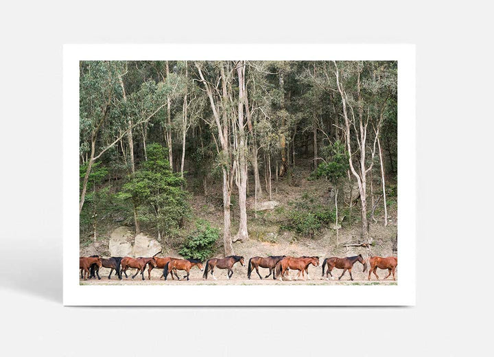 Glenworth Valley III