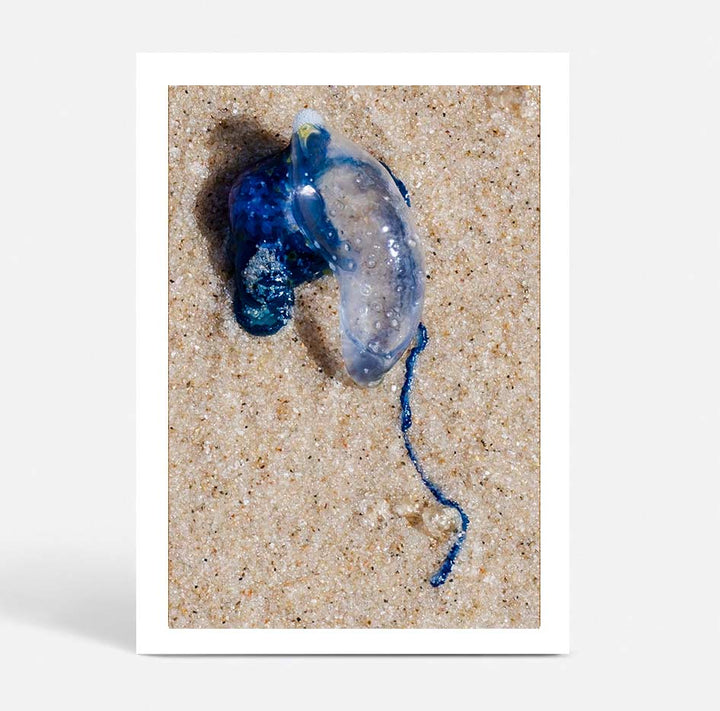 Washed Up Blue
