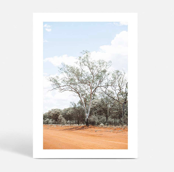 Gums of Gunabooka II