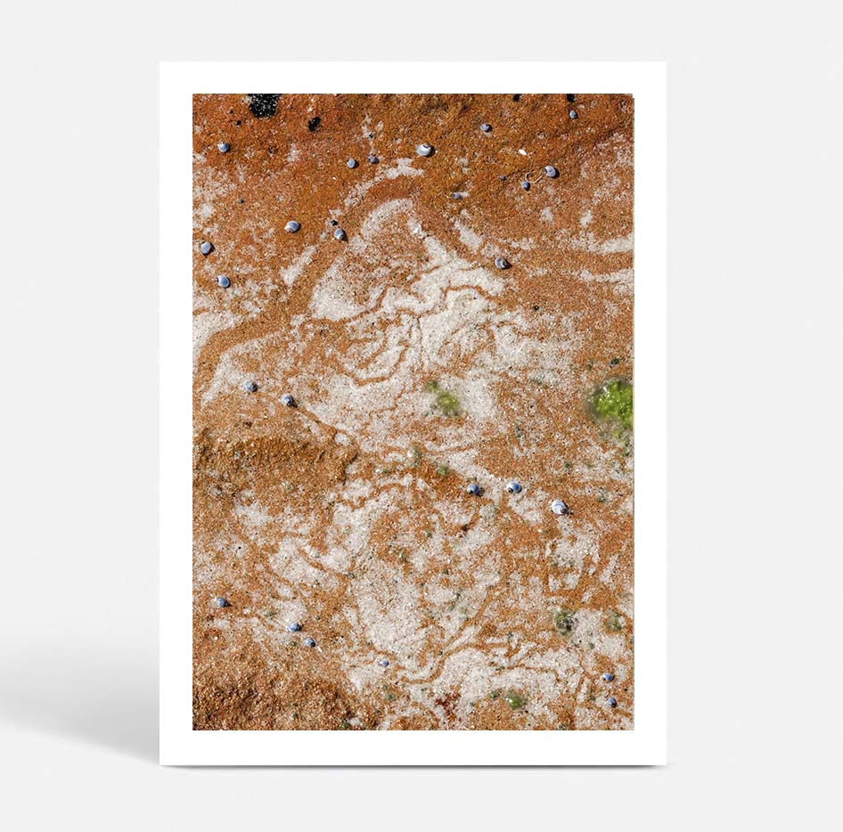 Traces in Ochre