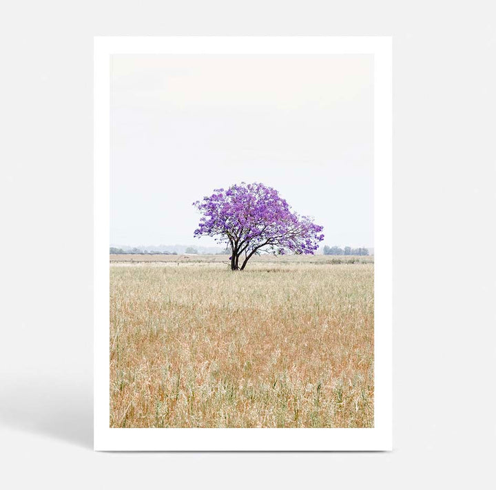 The Lonely Jacaranda I