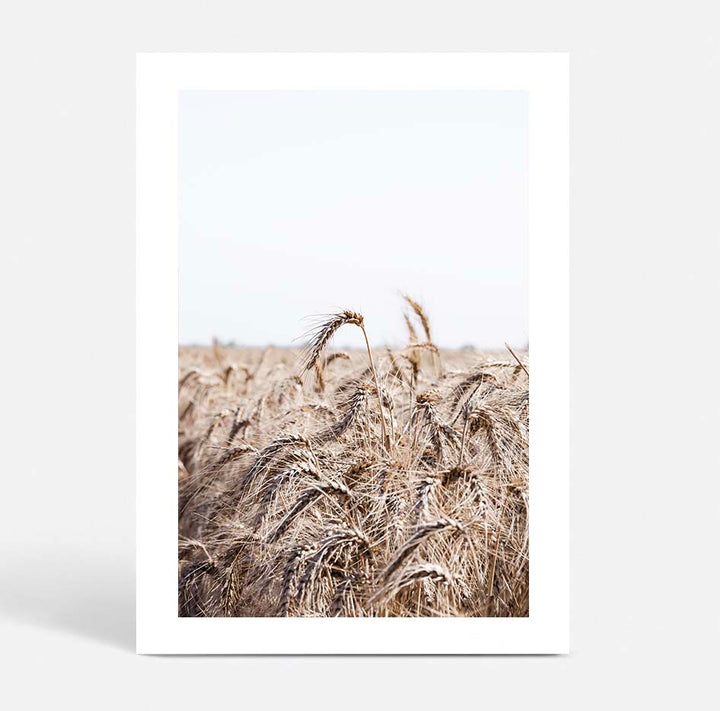 Wheat Farm I