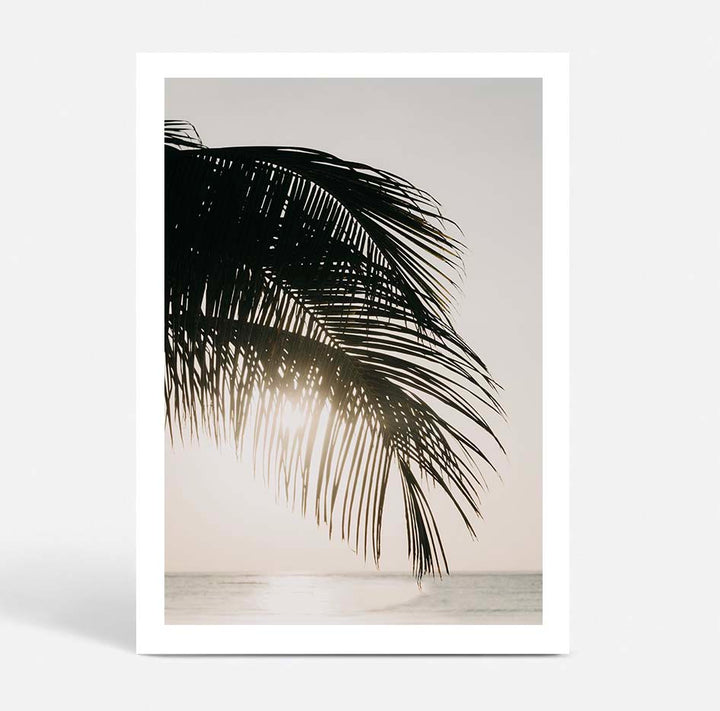 Sunset Palm