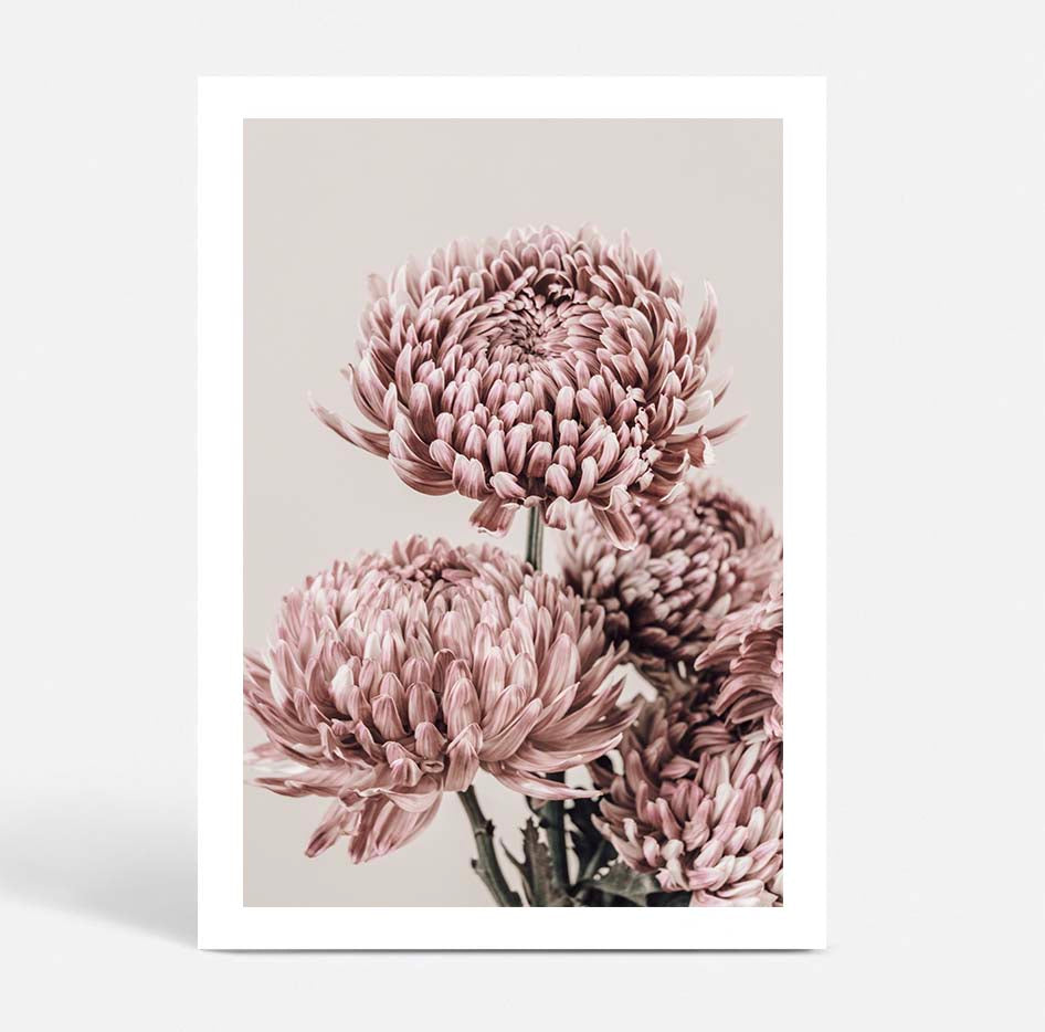 Vintage Chrysanthemums I
