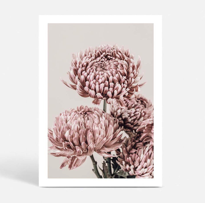 Vintage Chrysanthemums I