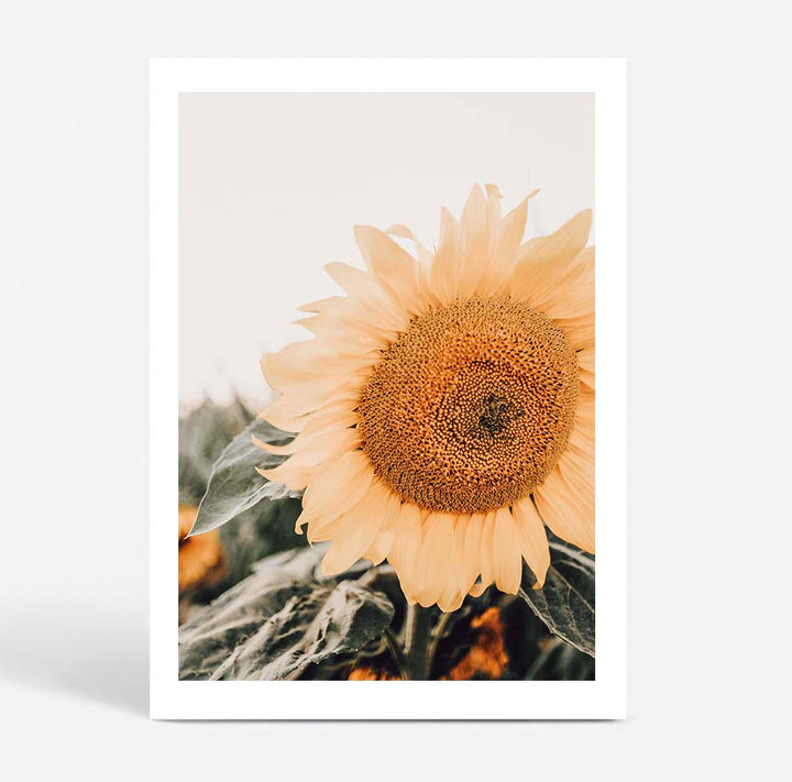 Set of 2 - Brown Mare & Sunflowers