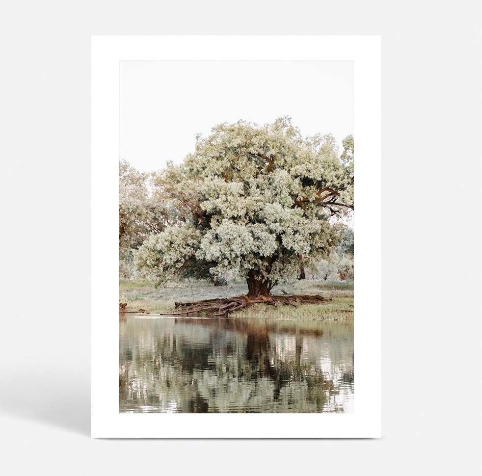 The Darling River Flooded I