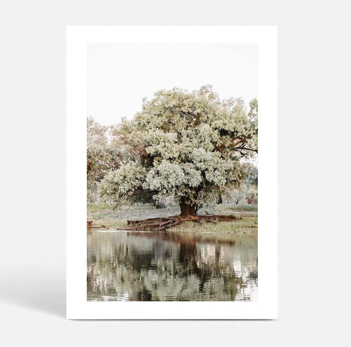 The Darling River Flooded I