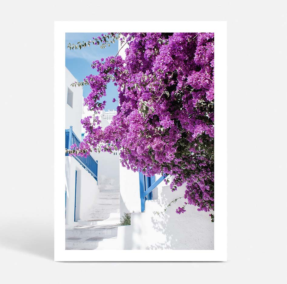 Bright Isle Blooms