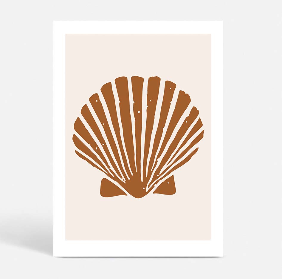 Terracotta Shell no.2