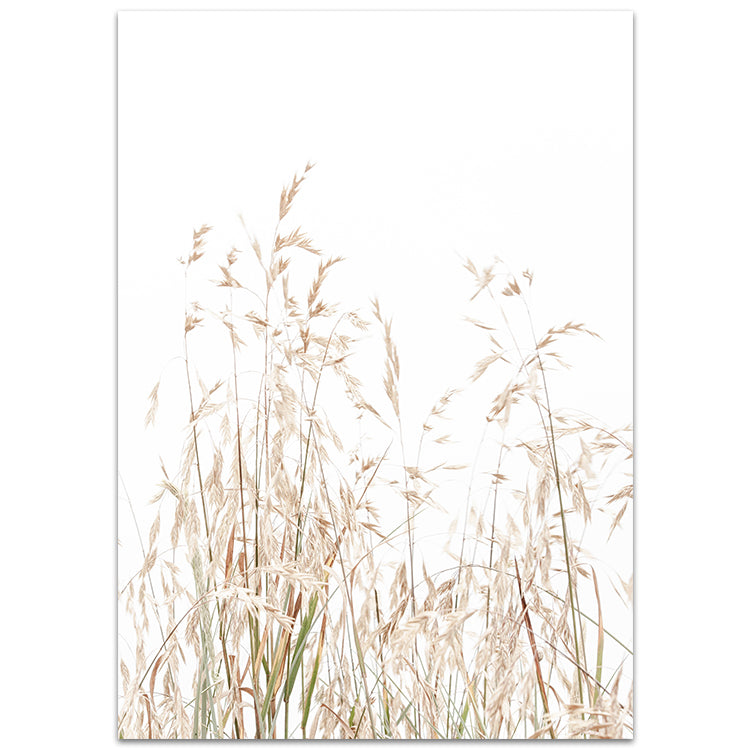 Country Grass no.1