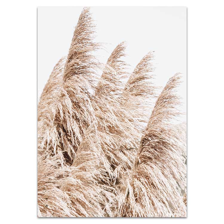Set of 2 - Pampas Grass no.3 & Nelson Bay no.2