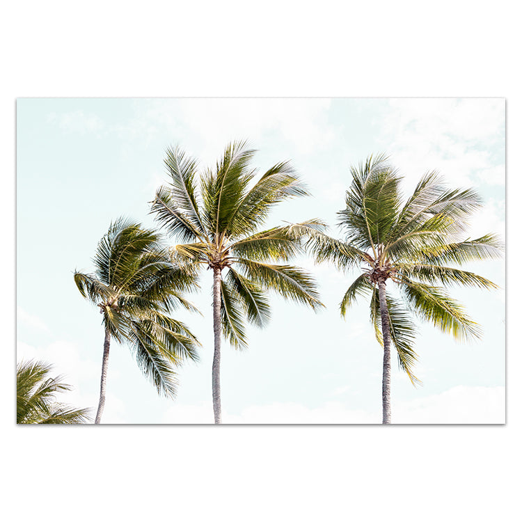 Tropical Palms II