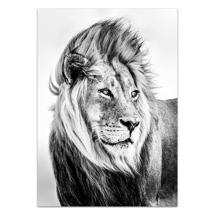 Lion - B&W