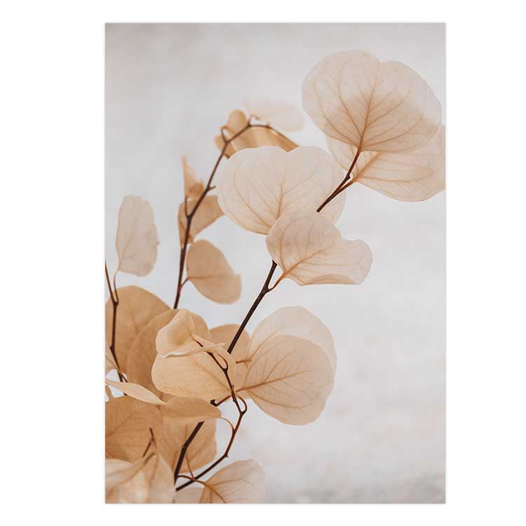 Dried Eucalyptus no.6  - Light