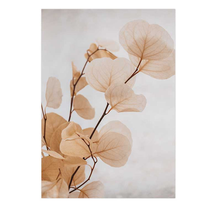 Dried Eucalyptus no.6  - Light