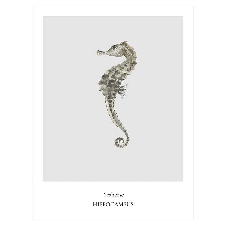 Seahorse