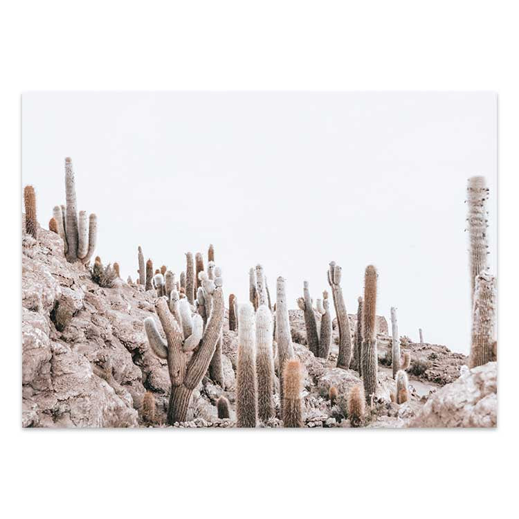 Cactus Island - Bolivia