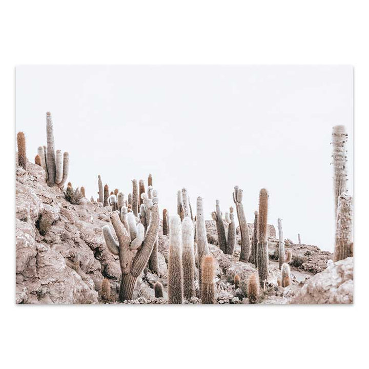 Cactus Island - Bolivia