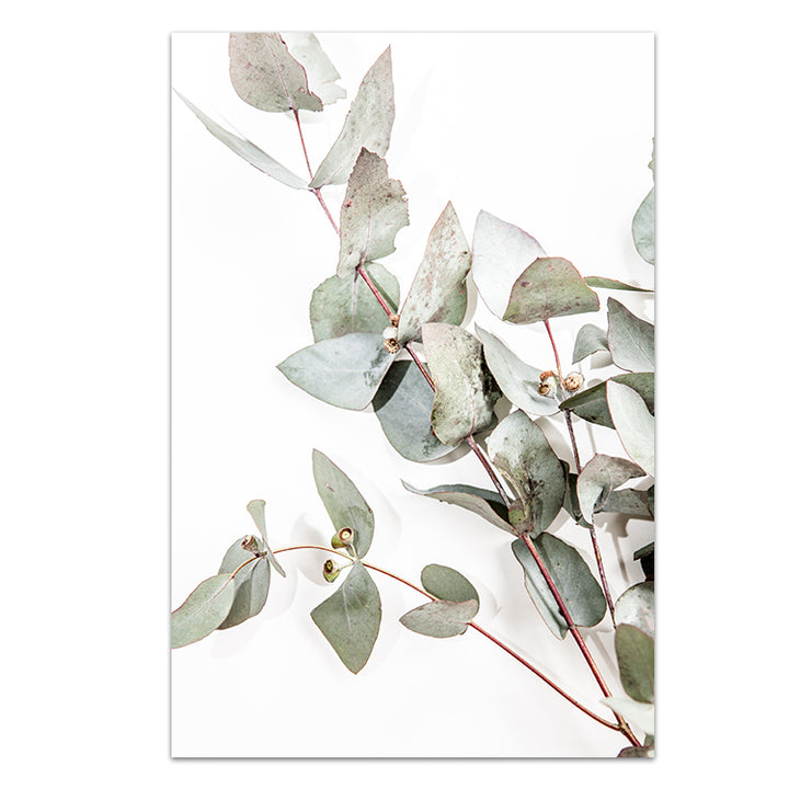 Set of 2 - Eucalyptus Leaves no.1 & no.2