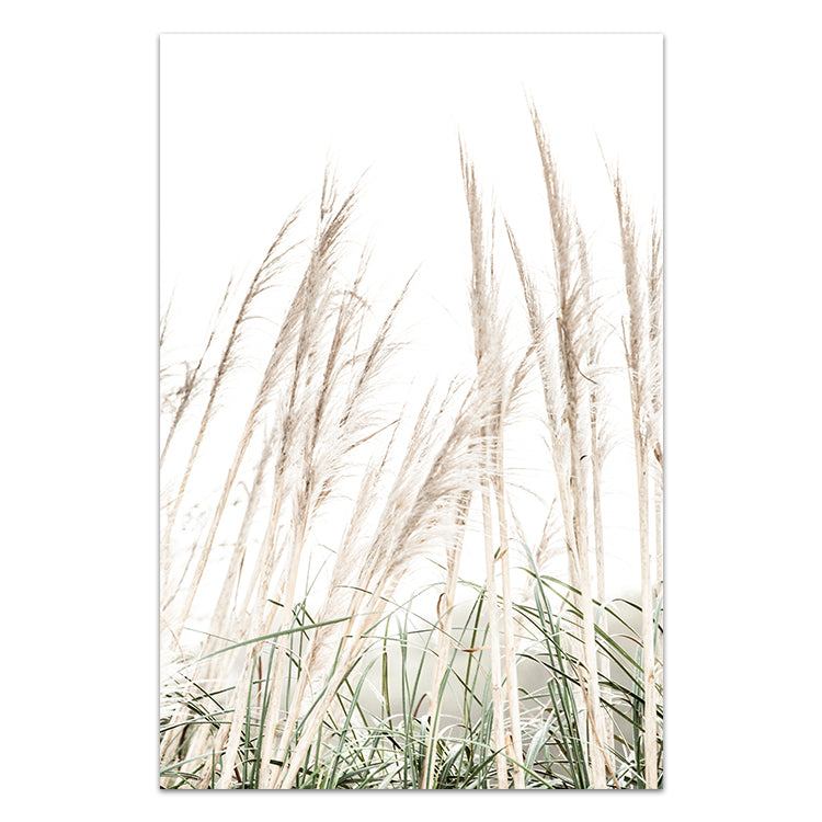 Set of 2 - Pampas Grass II & Dreamer Quote