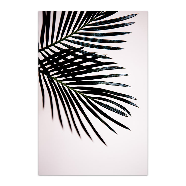 Sago Palm I