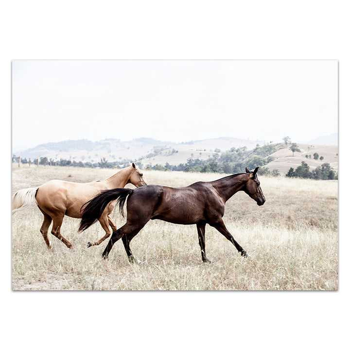 Ishani & Aussie no.1 - The Hunter Valley