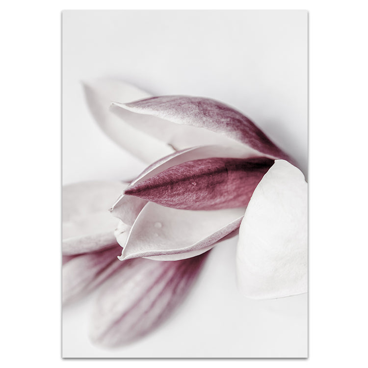 Set of 2 - Magnolia I + II