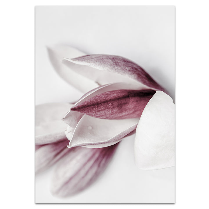 Set of 2 - Magnolia I + II