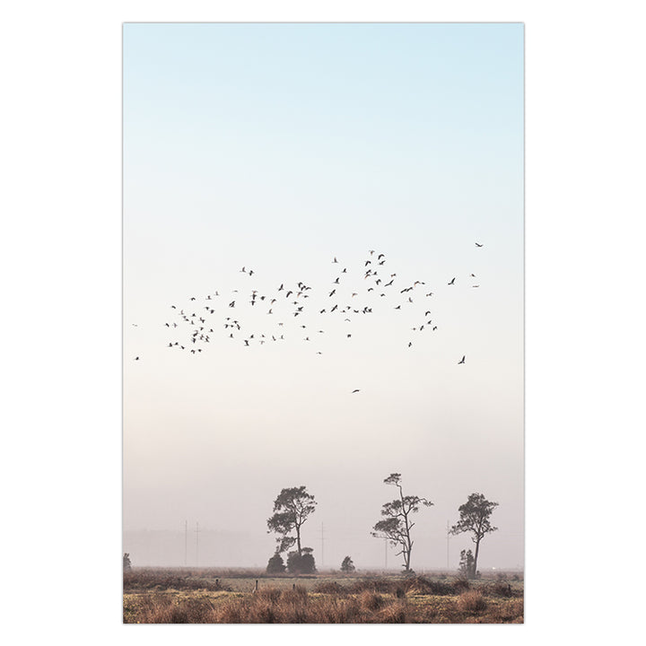 Birds At Sunrise no.1 - Stockton Beach