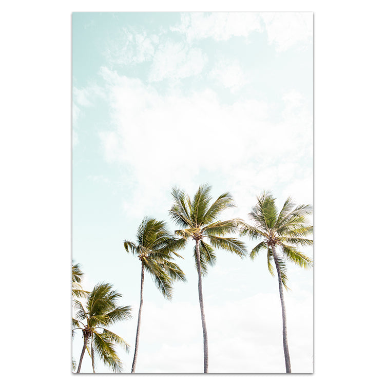 Tropical Blue Trio