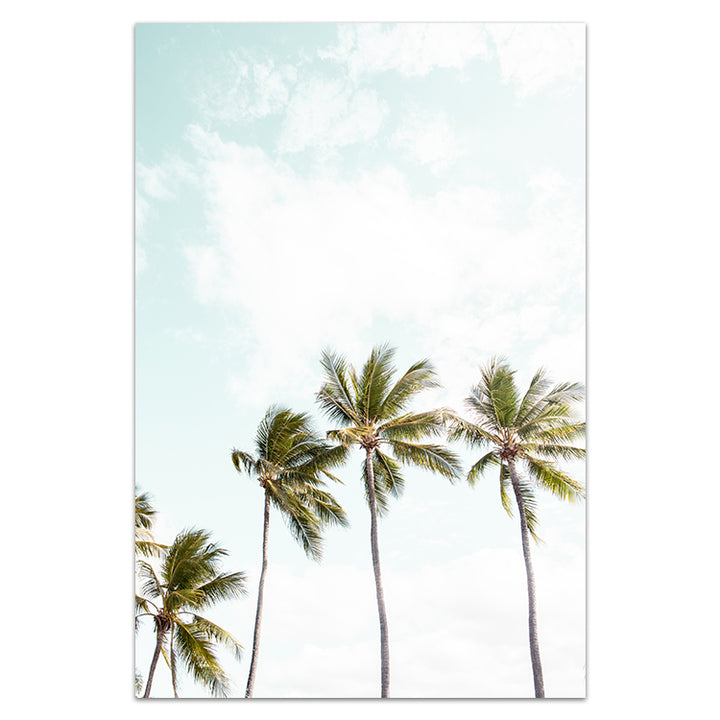 Tropical Blue Trio
