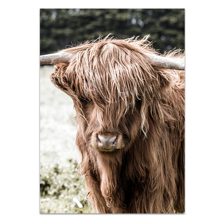 Set of 2 - Highland I + Track