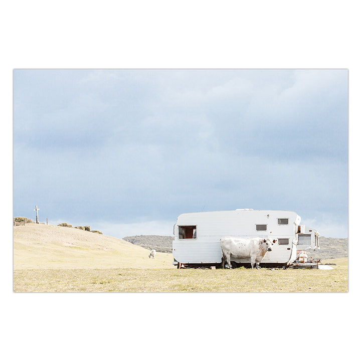 Cow & Caravan - Country Victoria