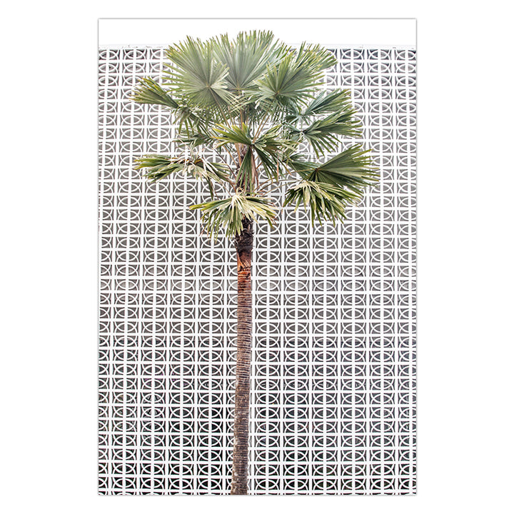 Breeze Block Palm no.1