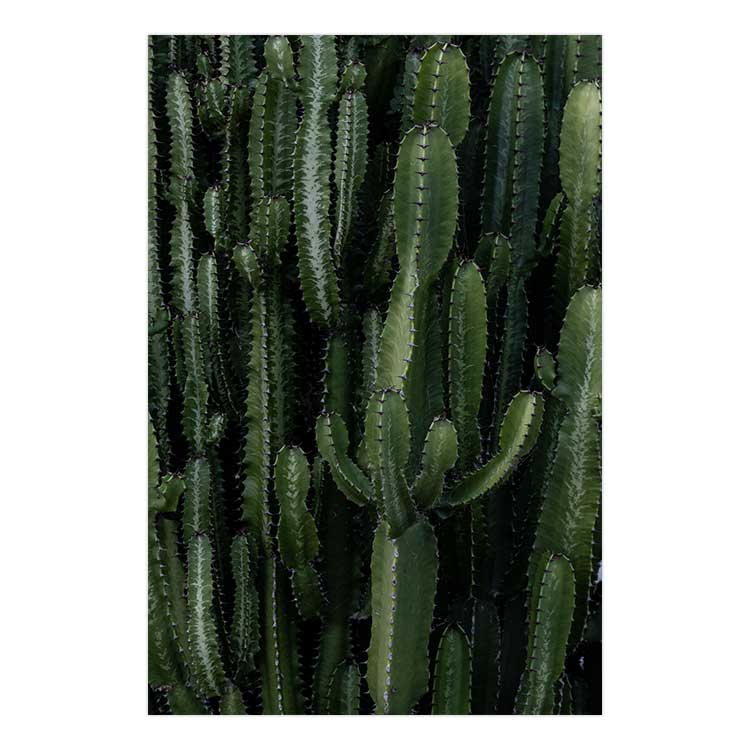 Crowded Cactus