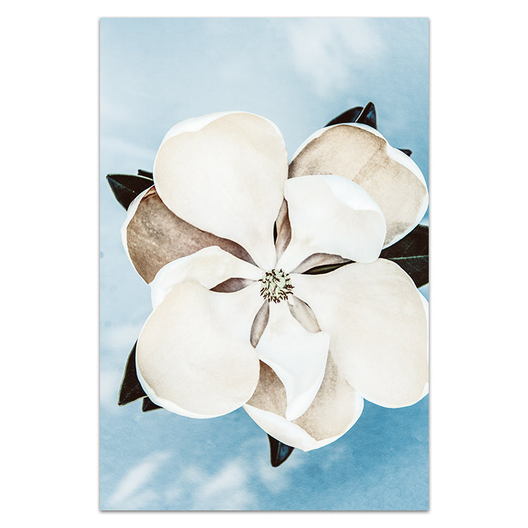 Magnolia On Blue