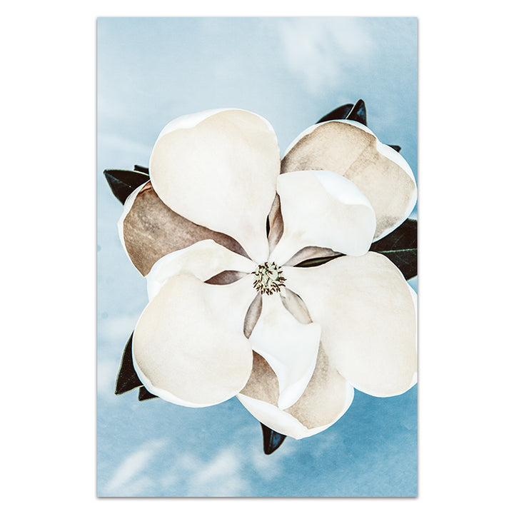 Magnolia On Blue