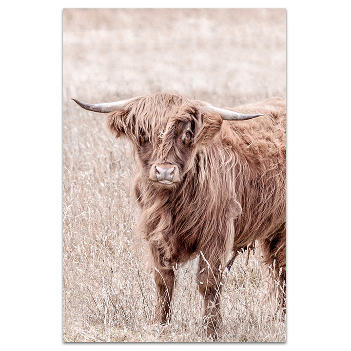Highland II