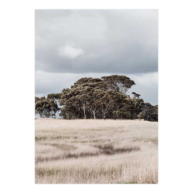 Country Life - Victoria