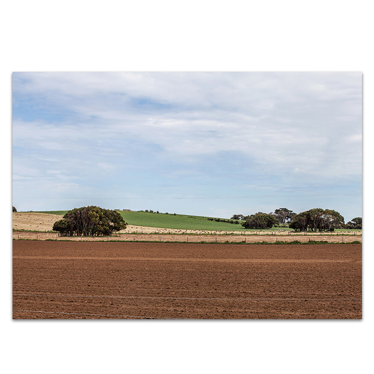 Potato Farm - Country Victoria