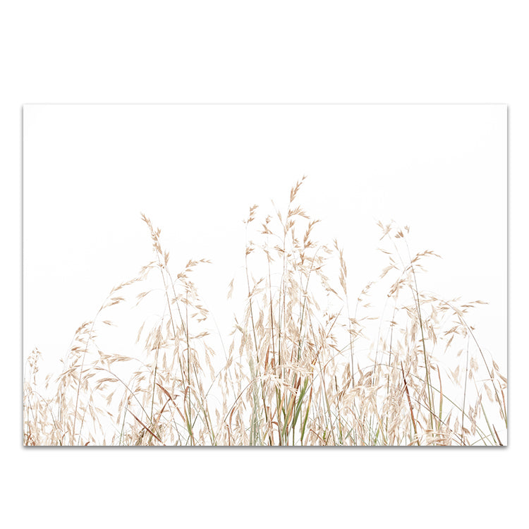 Country Grass no.1 - LS
