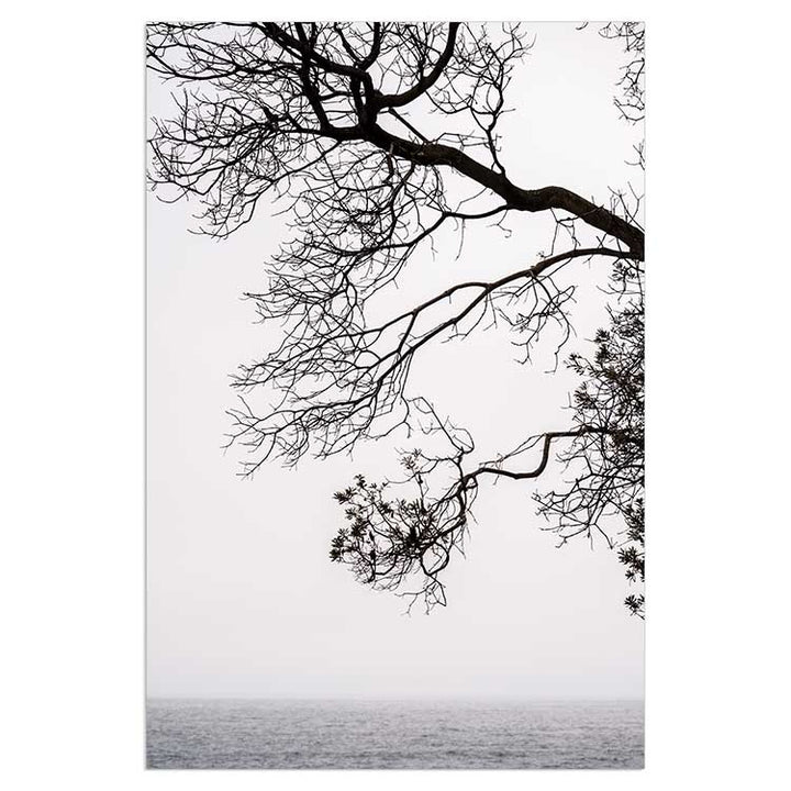 By The Sea - Bronte Beach