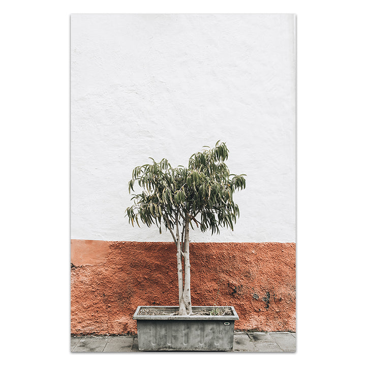 Terracotta Wall - Santorini