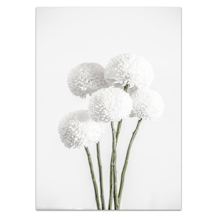 Chrysanthemums I