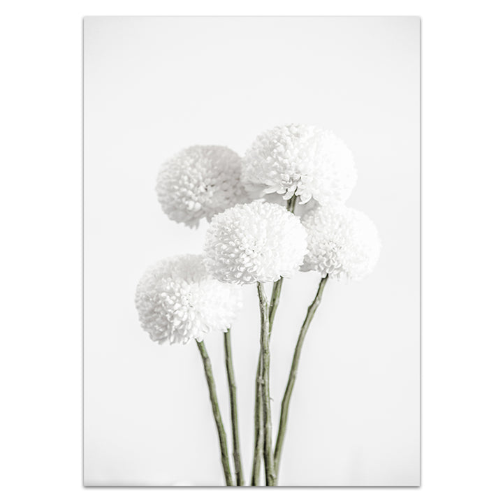 Chrysanthemums I