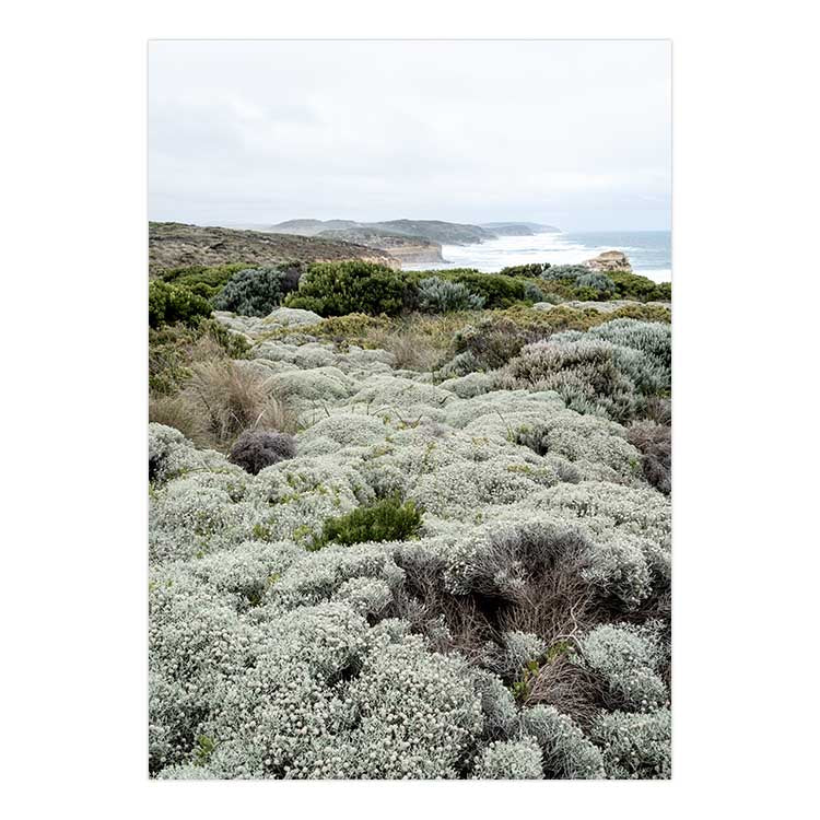 Great Ocean Road no.1