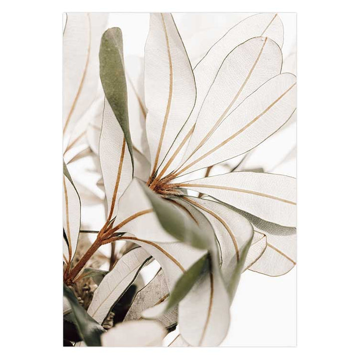 Fallen Foliage no.2